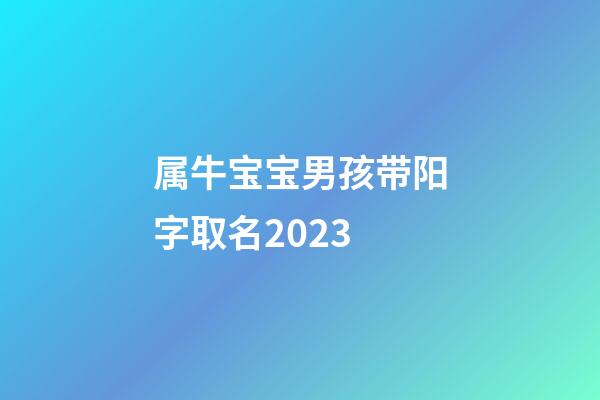属牛宝宝男孩带阳字取名2023