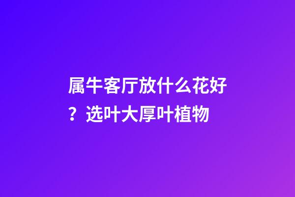 属牛客厅放什么花好？选叶大厚叶植物