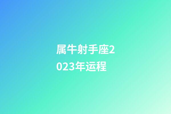 属牛射手座2023年运程-第1张-星座运势-玄机派