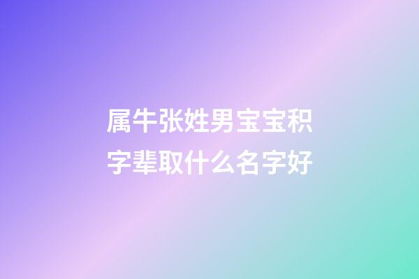 属牛张姓男宝宝积字辈取什么名字好