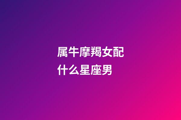 属牛摩羯女配什么星座男-第1张-星座运势-玄机派