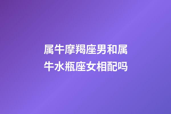 属牛摩羯座男和属牛水瓶座女相配吗-第1张-星座运势-玄机派