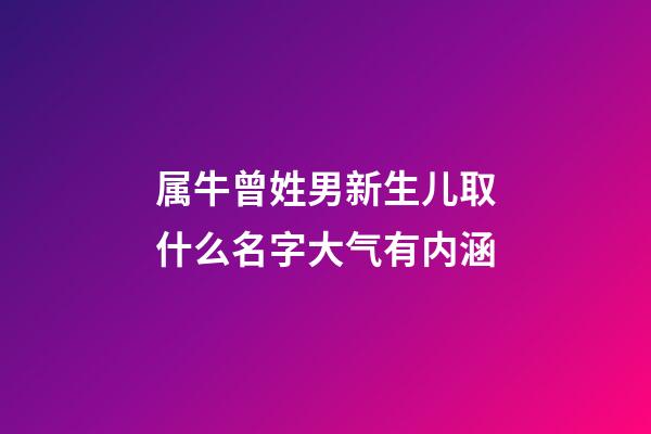 属牛曾姓男新生儿取什么名字大气有内涵
