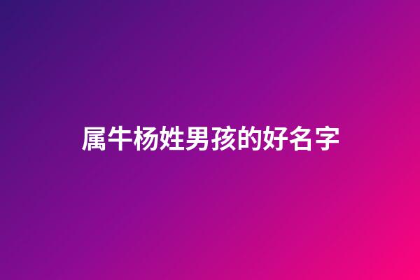 属牛杨姓男孩的好名字