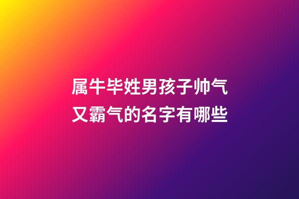 属牛毕姓男孩子帅气又霸气的名字有哪些