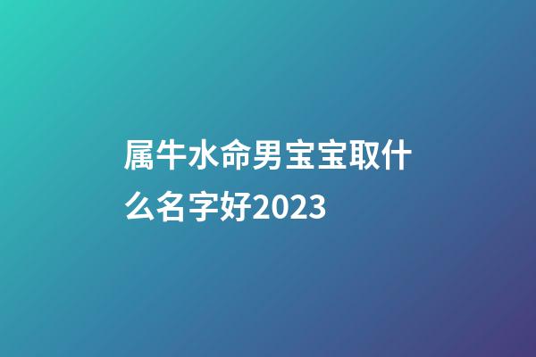 属牛水命男宝宝取什么名字好2023