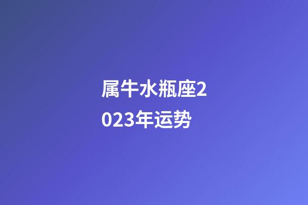 属牛水瓶座2023年运势-第1张-星座运势-玄机派