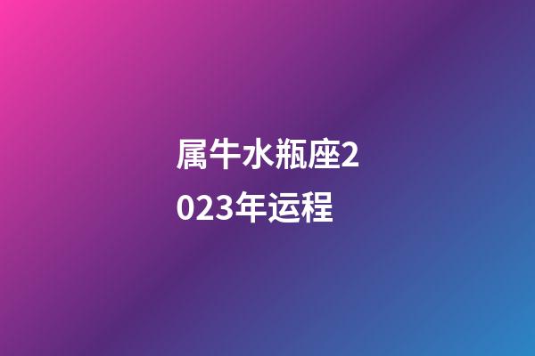 属牛水瓶座2023年运程-第1张-星座运势-玄机派