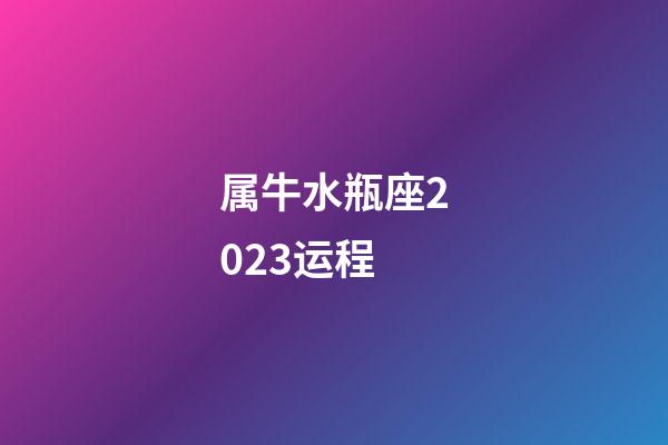 属牛水瓶座2023运程-第1张-星座运势-玄机派