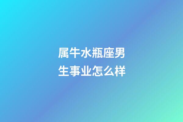 属牛水瓶座男生事业怎么样-第1张-星座运势-玄机派