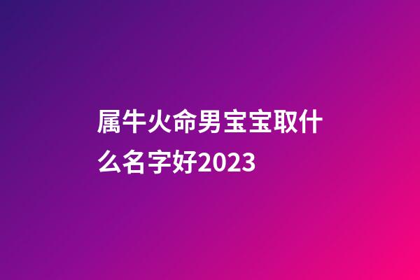 属牛火命男宝宝取什么名字好2023