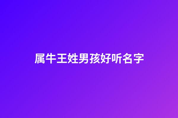 属牛王姓男孩好听名字