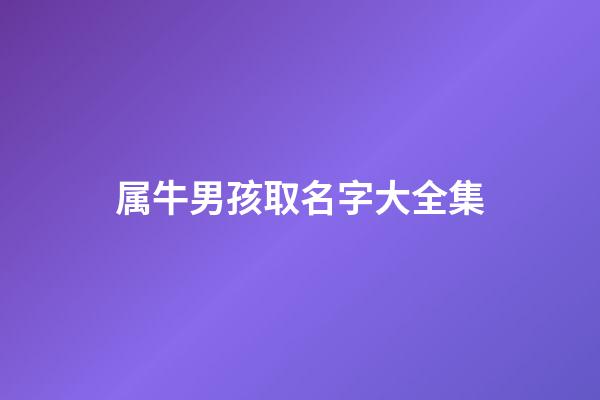 属牛男孩取名字大全集