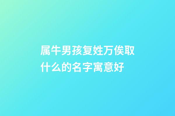 属牛男孩复姓万俟取什么的名字寓意好