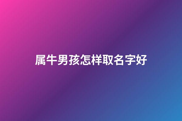属牛男孩怎样取名字好