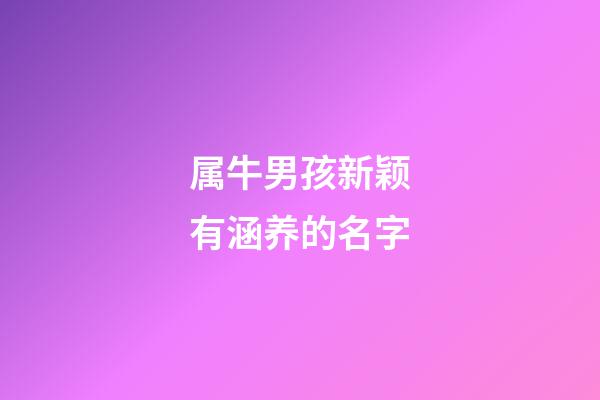 属牛男孩新颖有涵养的名字