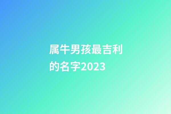 属牛男孩最吉利的名字2023
