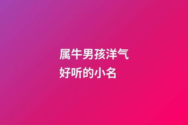 属牛男孩洋气好听的小名