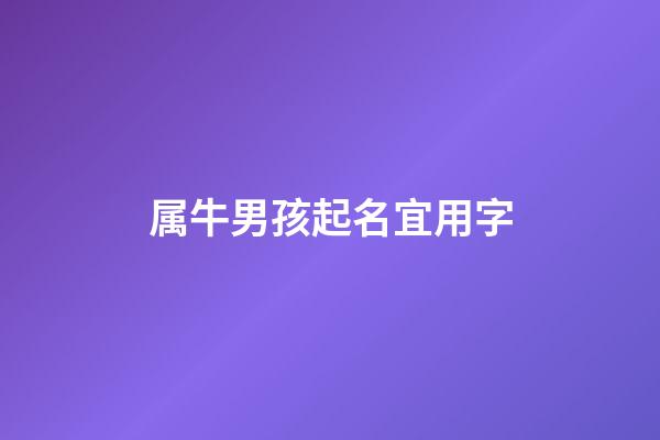 属牛男孩起名宜用字