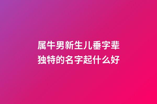 属牛男新生儿垂字辈独特的名字起什么好