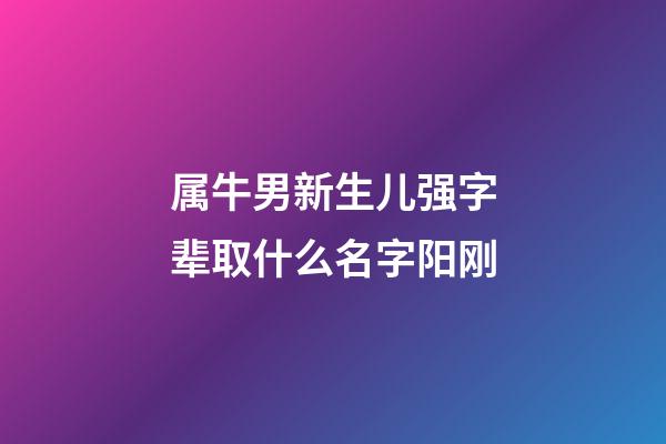 属牛男新生儿强字辈取什么名字阳刚