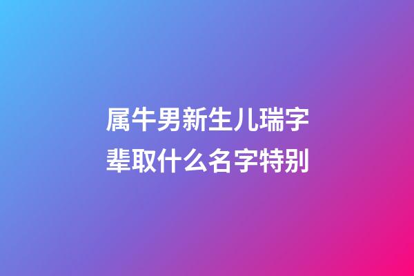 属牛男新生儿瑞字辈取什么名字特别
