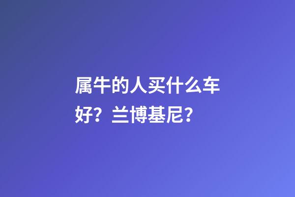 属牛的人买什么车好？兰博基尼？