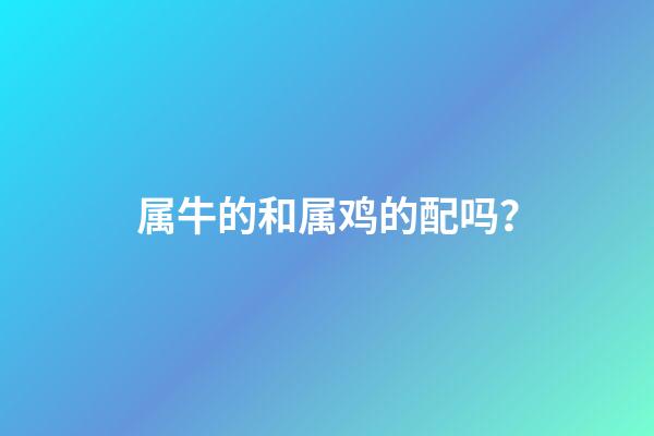 属牛的和属鸡的配吗？