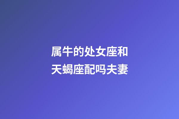 属牛的处女座和天蝎座配吗夫妻-第1张-星座运势-玄机派