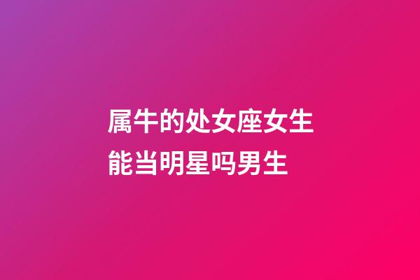 属牛的处女座女生能当明星吗男生-第1张-星座运势-玄机派