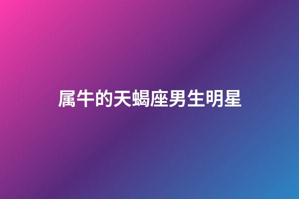 属牛的天蝎座男生明星