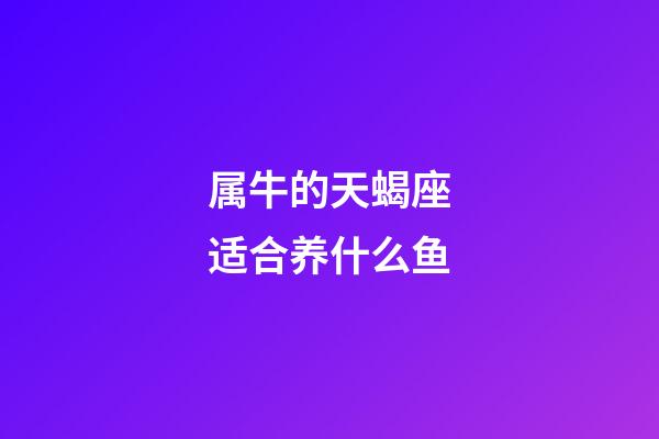 属牛的天蝎座适合养什么鱼-第1张-星座运势-玄机派