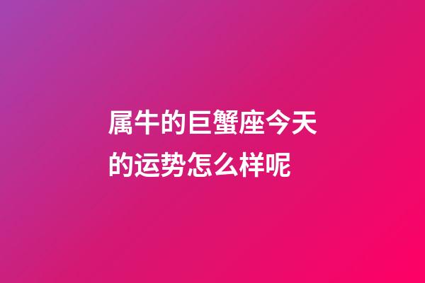属牛的巨蟹座今天的运势怎么样呢-第1张-星座运势-玄机派