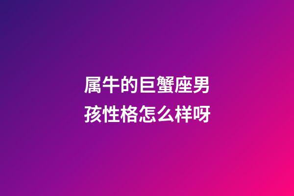 属牛的巨蟹座男孩性格怎么样呀-第1张-星座运势-玄机派