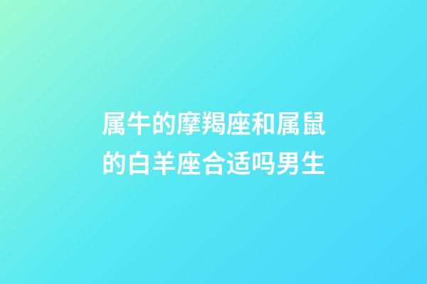 属牛的摩羯座和属鼠的白羊座合适吗男生-第1张-星座运势-玄机派