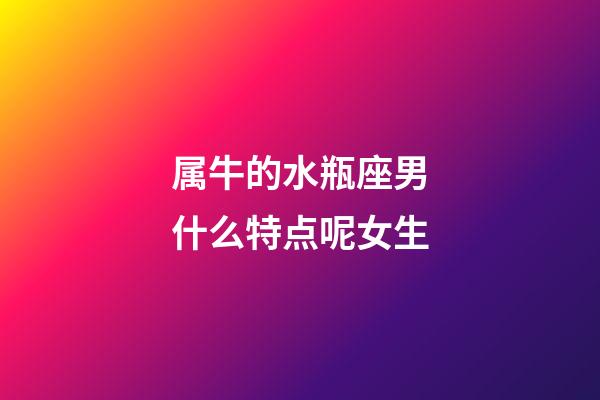 属牛的水瓶座男什么特点呢女生