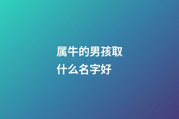 属牛的男孩取什么名字好