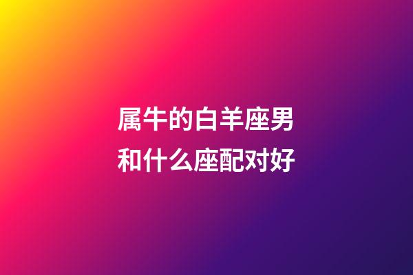属牛的白羊座男和什么座配对好