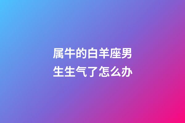 属牛的白羊座男生生气了怎么办-第1张-星座运势-玄机派