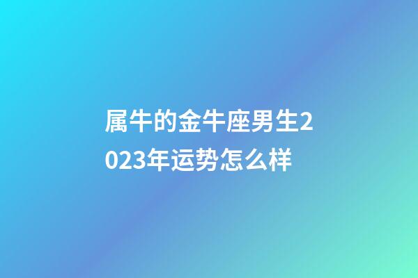 属牛的金牛座男生2023年运势怎么样-第1张-星座运势-玄机派