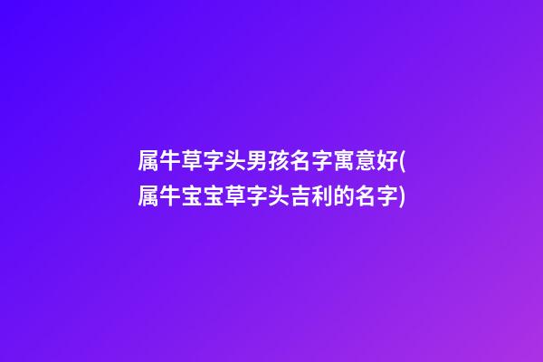 属牛草字头男孩名字寓意好(属牛宝宝草字头吉利的名字)