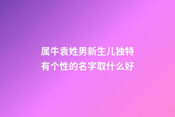 属牛袁姓男新生儿独特有个性的名字取什么好