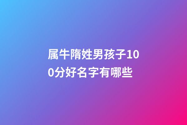 属牛隋姓男孩子100分好名字有哪些