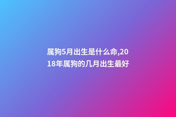 属狗5月出生是什么命,2018年属狗的几月出生最好-第1张-观点-玄机派