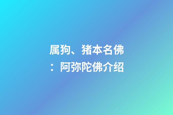 属狗、猪本名佛：阿弥陀佛介绍
