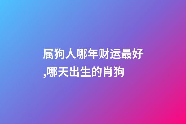 属狗人哪年财运最好,哪天出生的肖狗-第1张-观点-玄机派