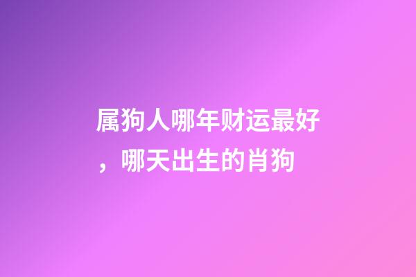 属狗人哪年财运最好，哪天出生的肖狗-第1张-观点-玄机派