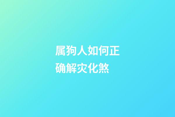 属狗人如何正确解灾化煞