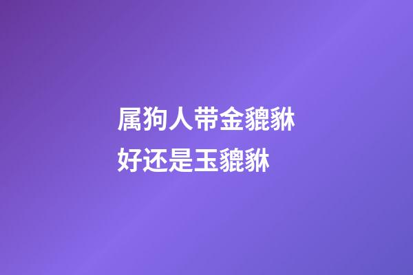 属狗人带金貔貅好还是玉貔貅