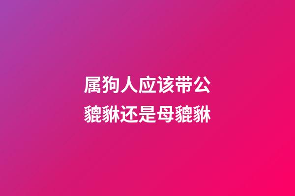 属狗人应该带公貔貅还是母貔貅